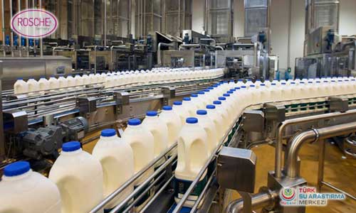 Süt Ürünleri Su Arıtma Sistemi